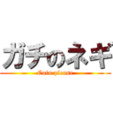 ガチのネギ (Coin please)