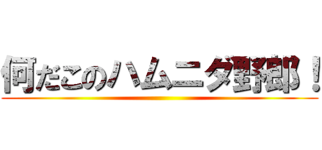 何だこのハムニダ野郎！ ()