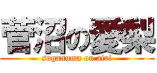 菅沼の愛梨 (suganuma on airi)