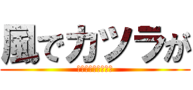 風でカツラが (カツラ　が　バレた)