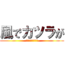 風でカツラが (カツラ　が　バレた)