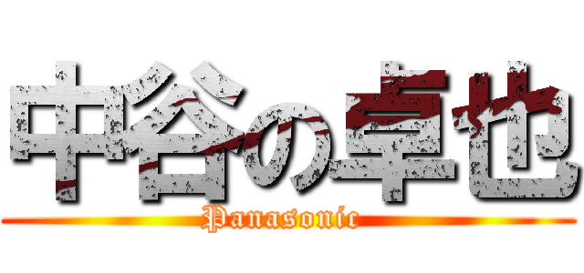 中谷の卓也 (Panasonic )