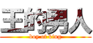 王的男人 (boy of king)