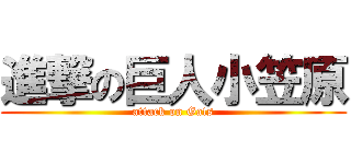 進撃の巨人小笠原 (attack on Gats)