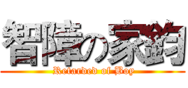 智障の家鈞 ( Retarded of Boy)