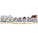 野生のあきお君 (attack on titan)