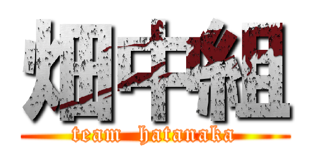 畑中組 (team  hatanaka)