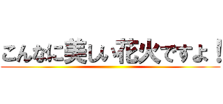 こんなに美しい花火ですよ！ ()