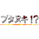 ブタヌキ！？ (？？？？？)