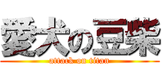 愛犬の豆柴 (attack on titan)