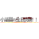 小涵儒の生日快樂！！ (attack on titan)