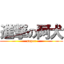 進撃の阿犬 (super)