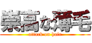 崇高な薄毛 (attack on hair)