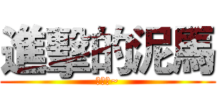 進擊的泥馬 (太美了~)