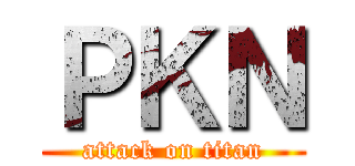 ＰＫＮ (attack on titan)