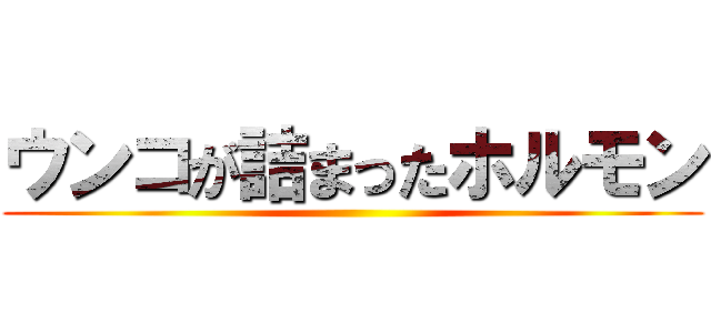 ウンコが詰まったホルモン ()