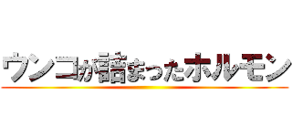 ウンコが詰まったホルモン ()