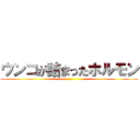 ウンコが詰まったホルモン ()