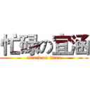 忙碌の宜涵 (attack on titan)