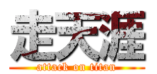 走天涯 (attack on titan)