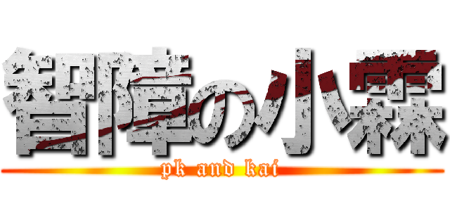 智障の小霖 (pk and kai)