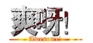 爽呀！ (Awesome!)