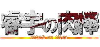 睿宇の肉棒 (attack on titan)