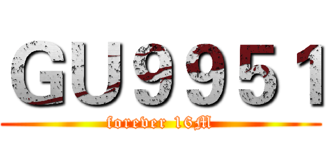 ＧＵ９９５１ (forever 16M)