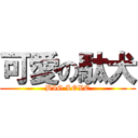 可愛の駄犬 (BIG LOVE)