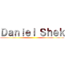 Ｄａｎｉｅｌ Ｓｈｅｋ ()