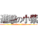 進擊の小紫 (attack on titan)