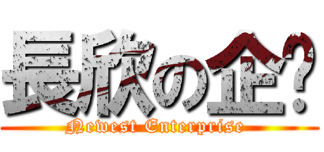 長欣の企业 (Newest Enterprise )