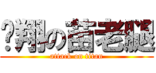 飞翔の苗老腿 (attack on titan)