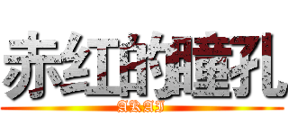 赤红的瞳孔 (AKAI)