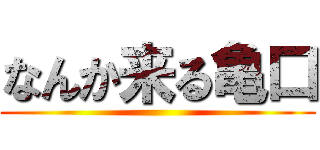 なんか来る亀口 ()