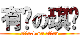 有爱の琪钿 (attack on titan)