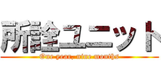 所詮ユニット (One year, nine months)