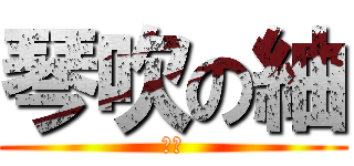 琴吹の紬 (天使)