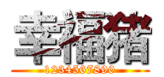 幸福猪 (1234567890)