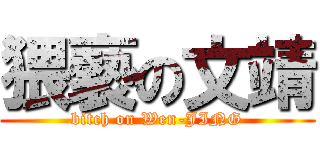 猥褻の文靖 (bitch on Wen-JING)