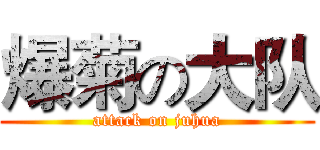 爆菊の大队 (attack on juhua)