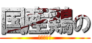 国産鶏の (唐揚げ巻き)