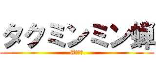 タクミンミン蝉 (Aの意志)