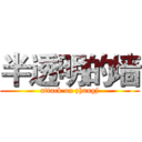 半透明的墙 (attack on zhangj)