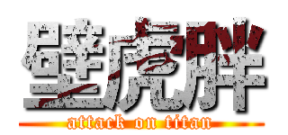 壁虎胖 (attack on titan)