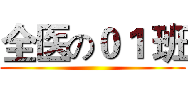 全医の０１ 班 ()