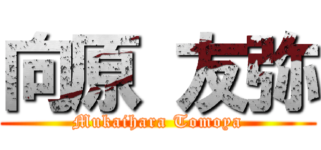 向原 友弥 (Mukaihara Tomoya)