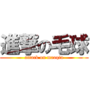 進撃の毛球 (attack on maoqiu)