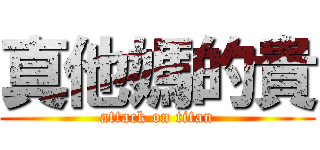 真他媽的貴 (attack on titan)