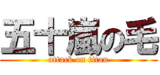 五十嵐の毛 (attack on titan)